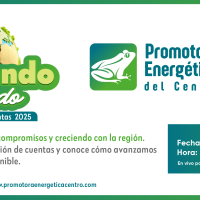 RENDICIÓN DE CUENTAS VIGENCIA 2025